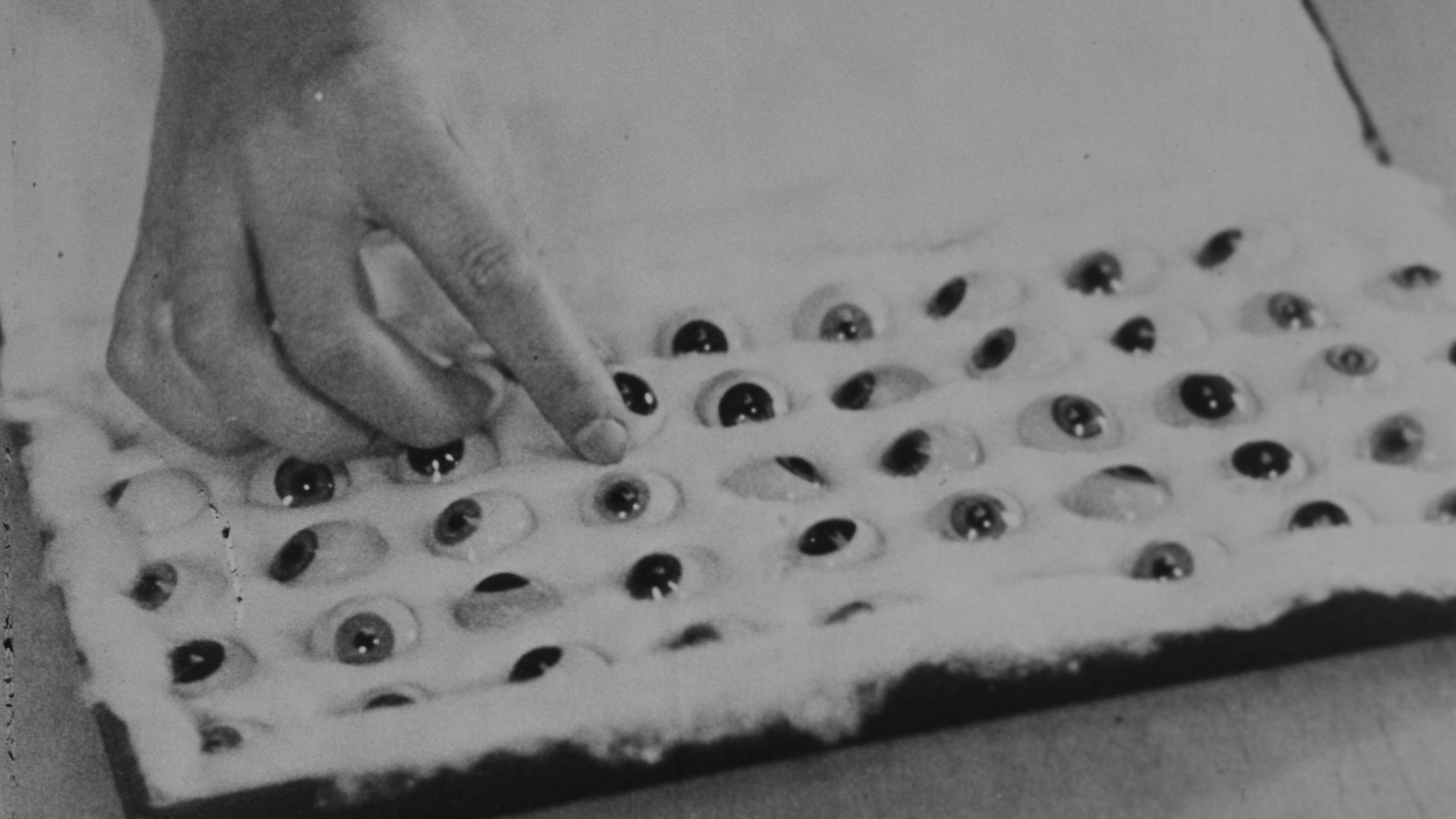 Short Film Selection – 1 slide 8